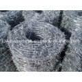 Hot Dipped Galvanized/Stainless Steel Double Twist Barbed Wire